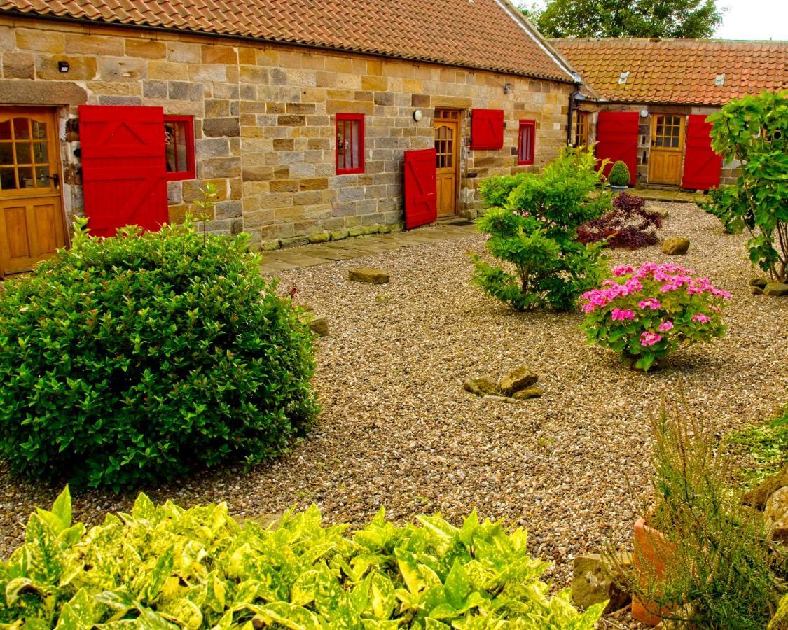 Spangle Cottage, Borrowby Farm Cottages Staithes Zewnętrze zdjęcie