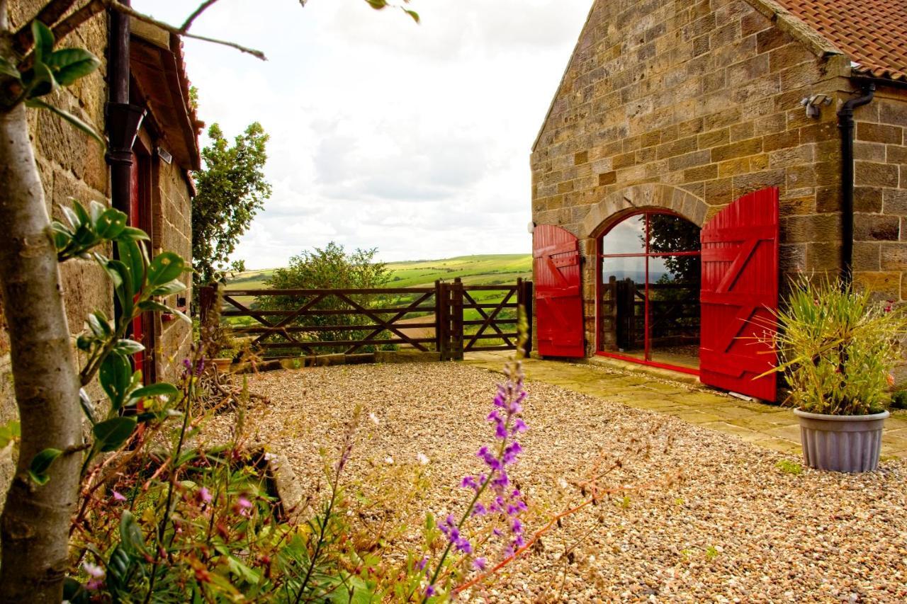 Spangle Cottage, Borrowby Farm Cottages Staithes Zewnętrze zdjęcie