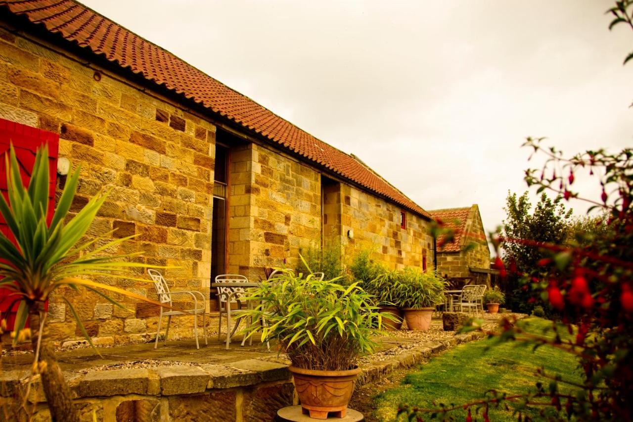Spangle Cottage, Borrowby Farm Cottages Staithes Zewnętrze zdjęcie